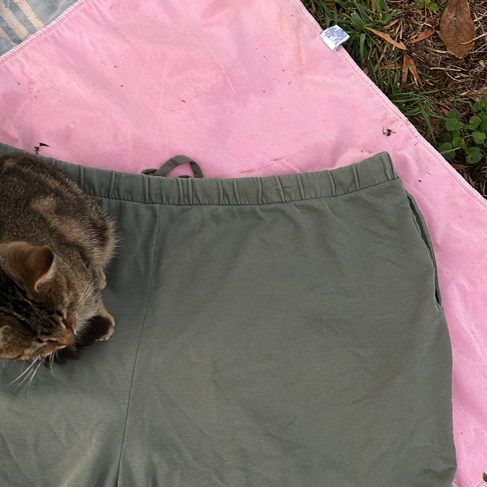 NWT Terra & Sky Green Knit Shorts Elastic Drawstring Waist Sweats 4X (28W-30W)